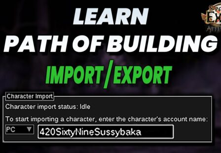 subtractem a guide to importing exporting and options in path of building